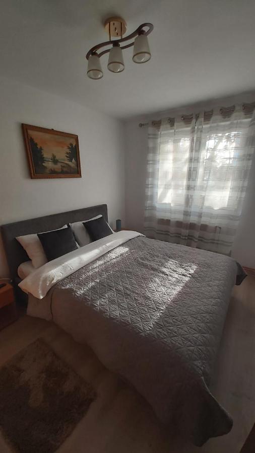 Ferienwohnung Relax Apartament Satu Mare Exterior foto